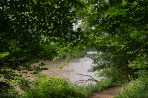 20150606-20150606-_DSC0003