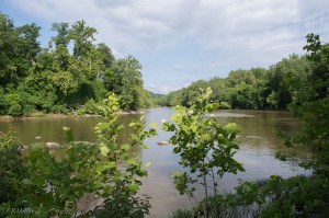 20150606-20150606-_DSC0044