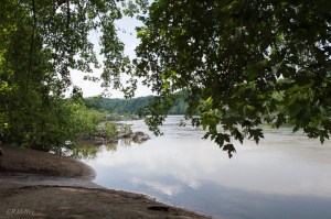 20150606-20150606-_DSC0064