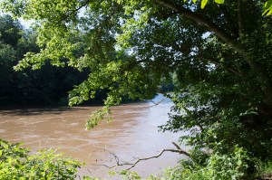 20150629-20150629-_DSC0015