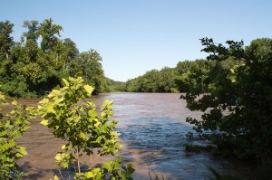 20150629-20150629-_DSC0033