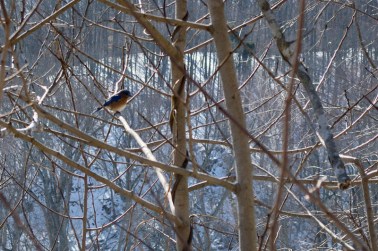 20150227-20150227-_DSC0041