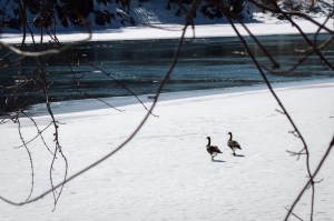 20150227-20150227-_DSC0045