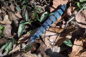 20150401-20150401-_DSC0012