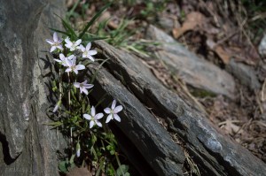 20150401-20150401-_DSC0087