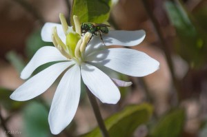 20150406-20150406-_DSC0026