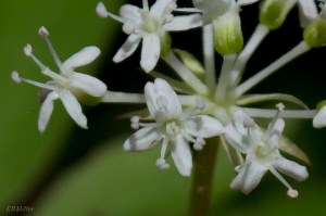 20150421-20150421-_DSC0120