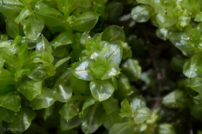 20150426-20150426-_DSC0009