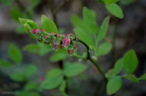 20150428-20150428-_DSC0060