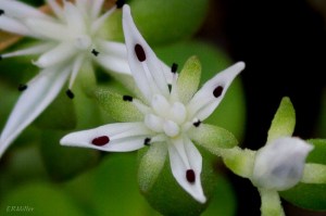 20150503-20150503-_DSC0004