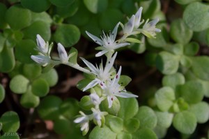 20150503-20150503-_DSC0016