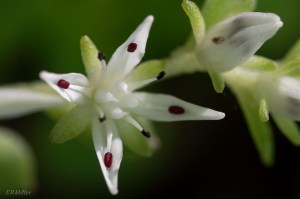 20150503-20150503-_DSC0042