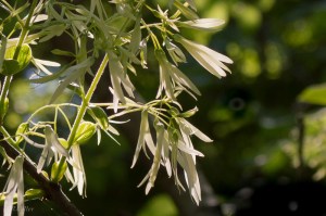 20150507-20150507-_DSC0053