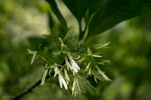 20150507-20150507-_DSC0057