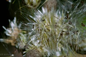 20150514-20150514-_DSC0123