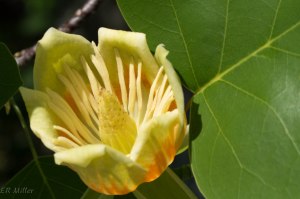 20150514-20150514-_DSC0200