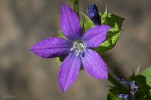 20150526-20150526-_DSC0014