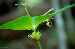 20150528-20150528-_DSC0002-2