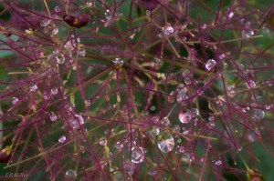 20150604-20150604-_DSC0034