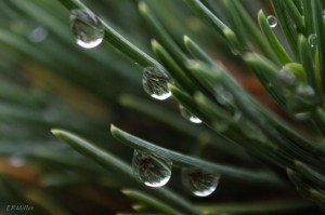 20150604-20150604-_DSC0045