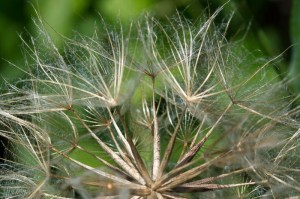 20150616-20150616-_DSC0023