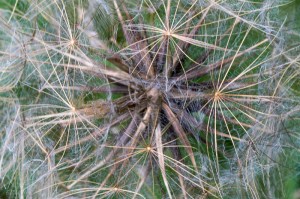 20150616-20150616-_DSC0028