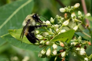 20150616-20150616-_DSC0072