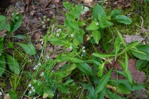 20150617-20150617-_DSC0020