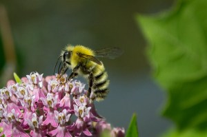 20150623-20150623-_DSC0125