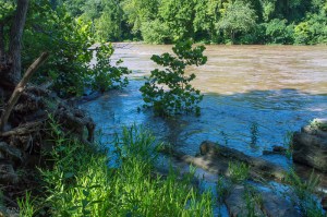 20150629-20150629-_DSC0081