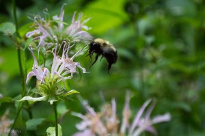 20150630-20150630-_DSC0010