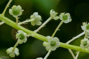 20150707-20150707-_DSC0101