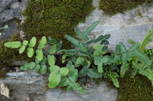 20150711-20150711-_DSC0070