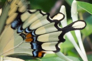 20150711-20150711-_DSC0093