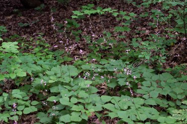 20150717-20150717-_DSC0020