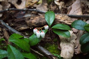 20150717-20150717-_DSC0033