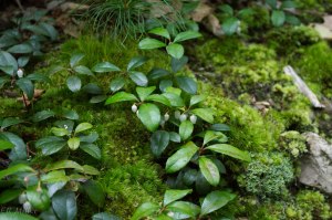 20150717-20150717-_DSC0034