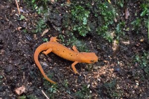 20150718-20150718-_DSC0059