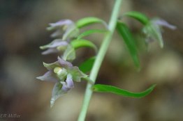 20150718-20150718-_DSC0073