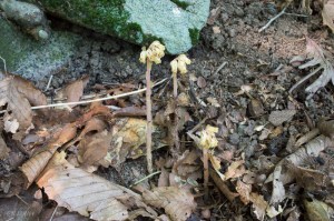 20150726-20150726-_DSC0126