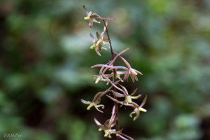 20150728-20150728-DSC_0096