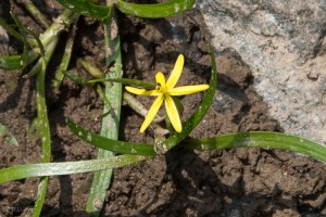 20150728-20150728-DSC_0195-2