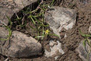 20150728-20150728-DSC_0195