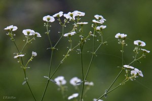 20150813-20150813-_DSC0148