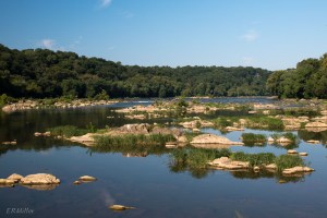 20150816-20150816-_DSC0074