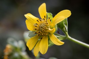 20150816-20150816-_DSC0081