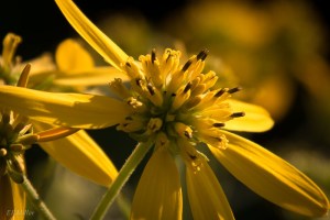 20150816-20150816-_DSC0089