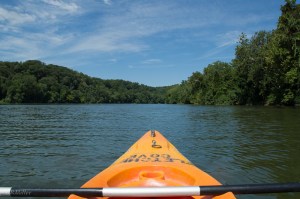 20150821-20150821-_DSC0073