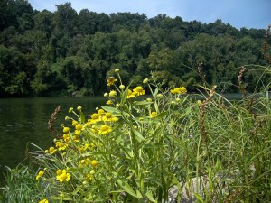 20030101-20030101-IMGP0276