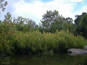 20030101-20030101-IMGP0285